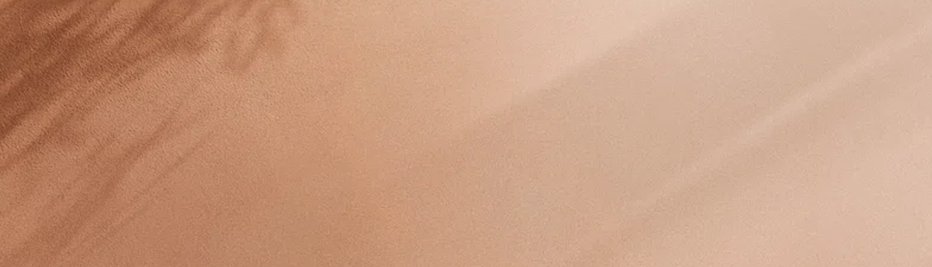 banner-bg1